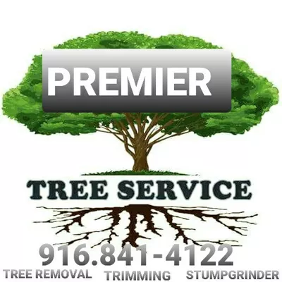 Premier Trees