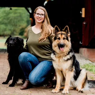 Rowan's Dog Training