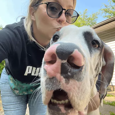 Megghund