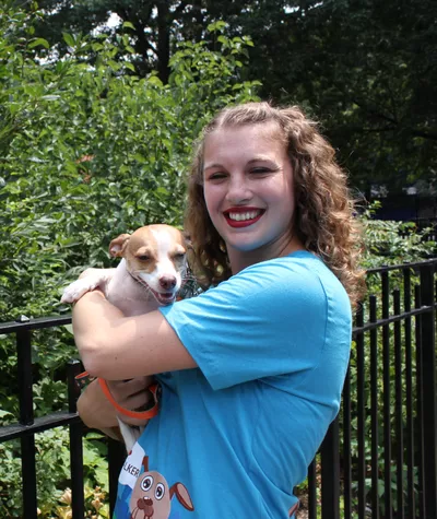 Swifto Dog Walking