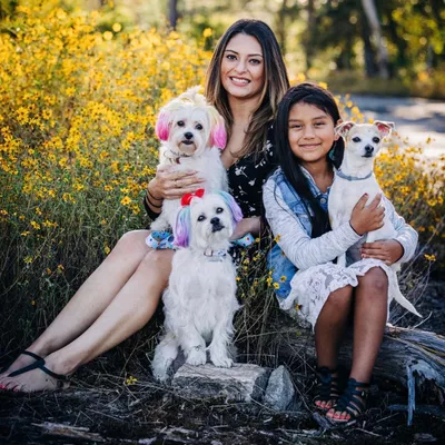 Your Dog's Favorite Vacation Spot ?