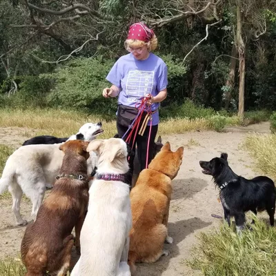 Kiefer Kennel Club, LLC.