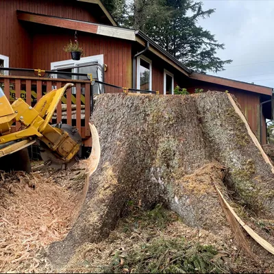 Sparkuhl stump grinding