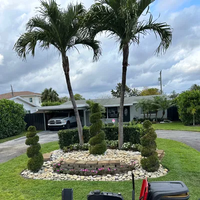 Arika Palm Inc.