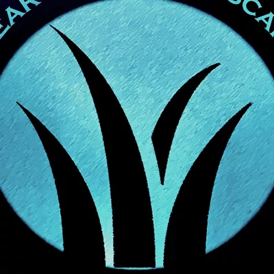Clearwater Landscaping
