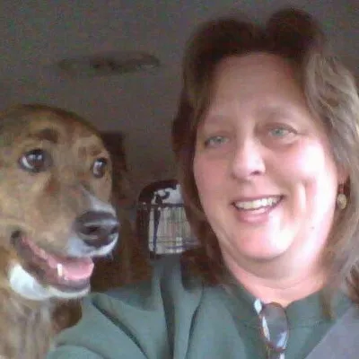 Homefront Animal Care