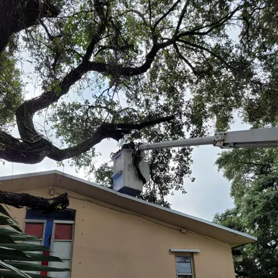 Bankston Tree Service
