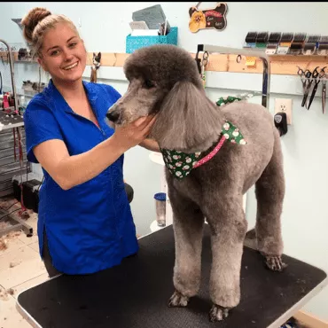 Panache Paw Spa LLC