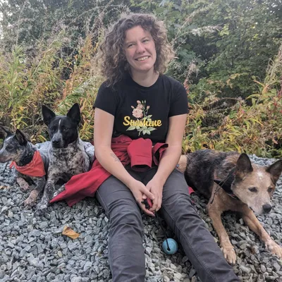 Dedication Dog Training