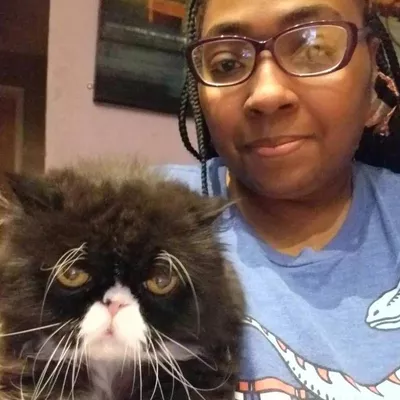 Pet Paradise Services