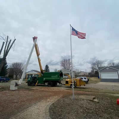 Davi's tree service