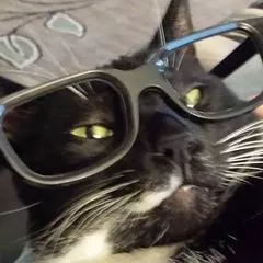 Kerry's Cat Care