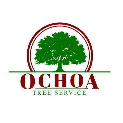 Ochoa Tree Service