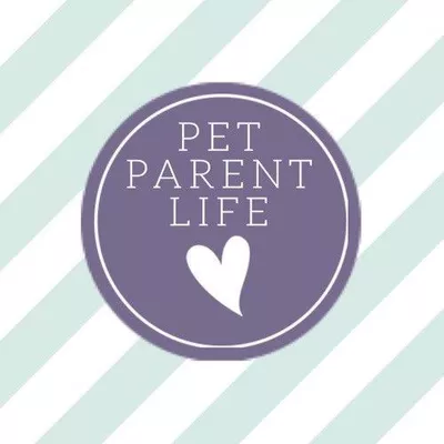 pet parent life