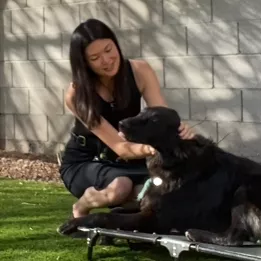 Traction Dog Training Club