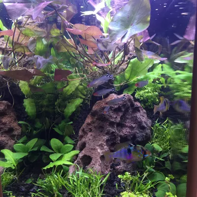 John’s Aquarium Service