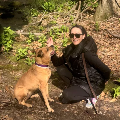 Furever Training