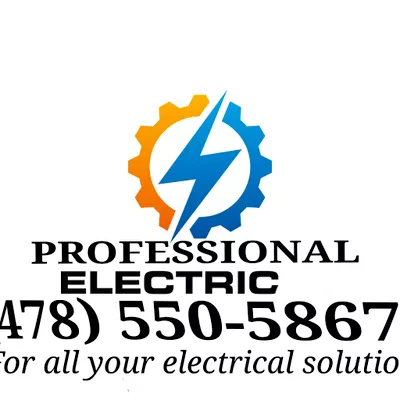 Professional electric services