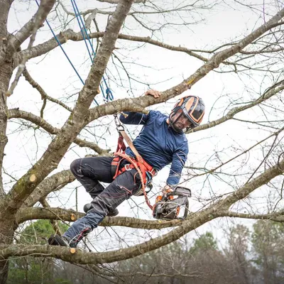 Tree Top Care Services LLC