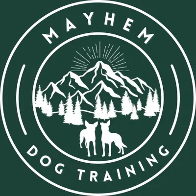 Mayhem Dog Training