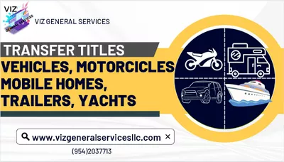 VIZ GENERAL SERVICES LLC