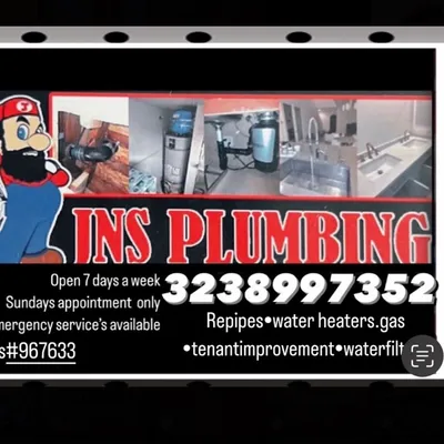 J.N.S. PLUMBING (whatever it takes!)