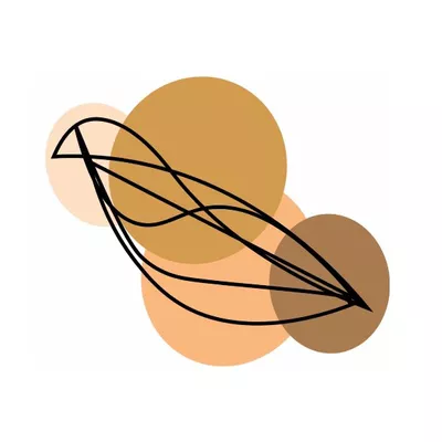 Birth and Renew - Doula Care