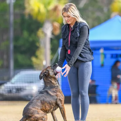 Better Obedience K9 Training