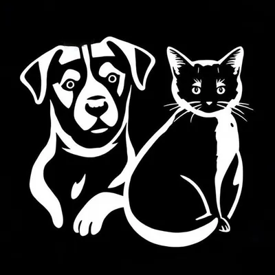 Charlottesville Pet Concierge