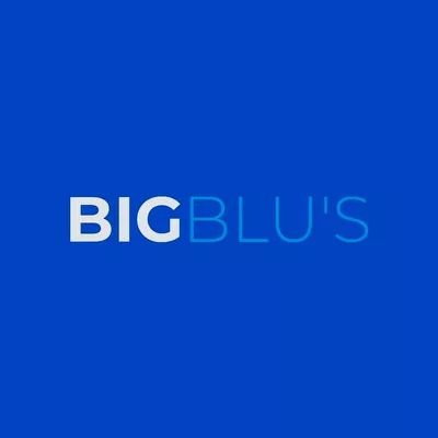 Big Blu's Fencing