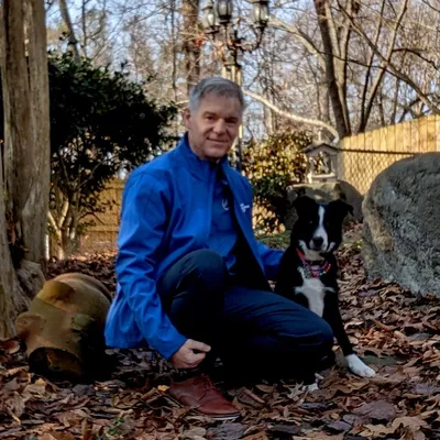 Dog Training Elite Chattanooga