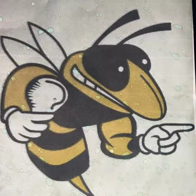 BEE CURRENT ELECTRIC