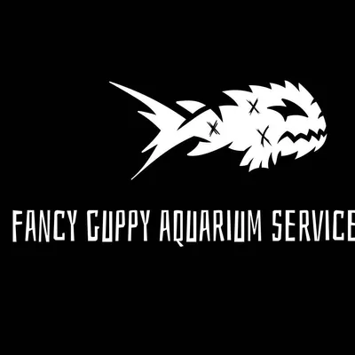 Fancy Guppy Aquarium Services