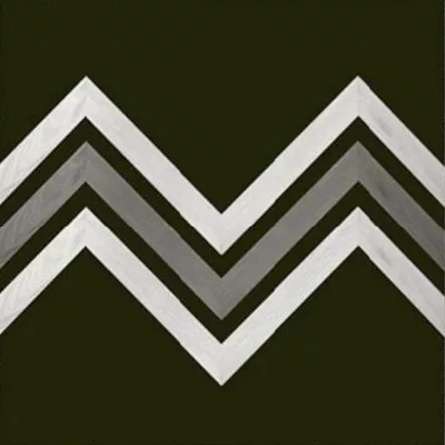 Mastered Hardwood floors