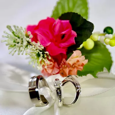 Edwige Foltek Designs