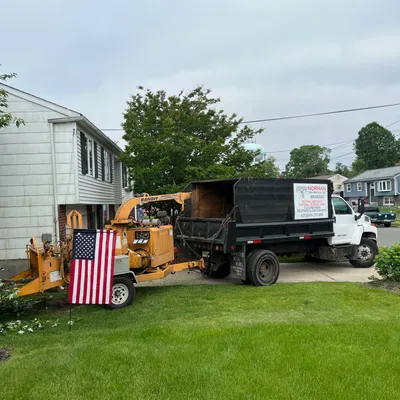 Norman tree service LLC