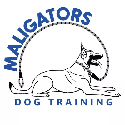 Maligators Dog Training