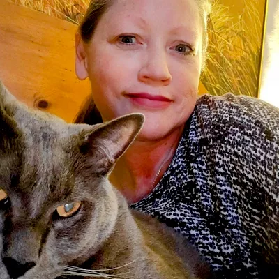 Feline Fantasy Cat Sitting