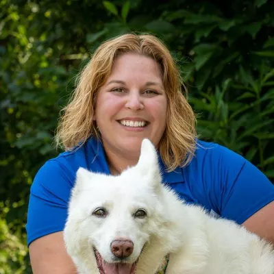 Absolute Angel Dog Training