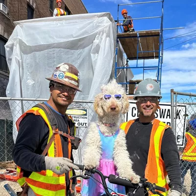 AZ Contractors
