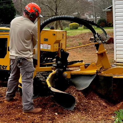 OGS Stump Grinding