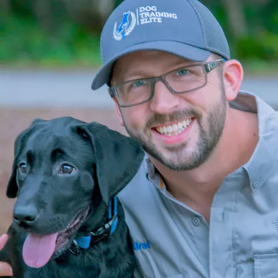 Dog Training Elite Greater Nashville