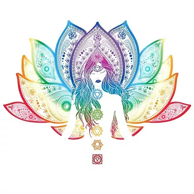 The Holistic House