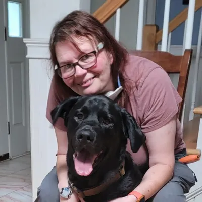 DC Dog & Owner Training