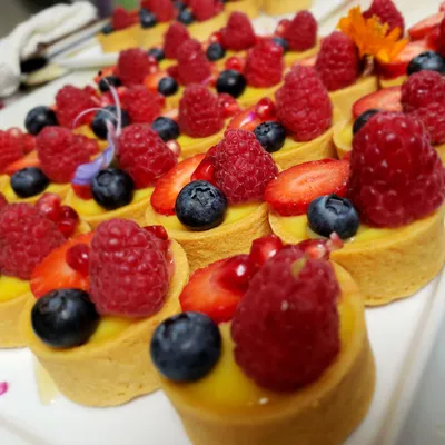 Zoe Sweet Tooth