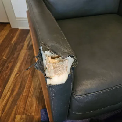 Abeve Upholstery & Repair