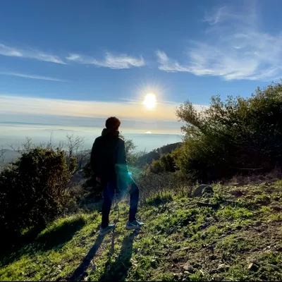 NVK Graphics