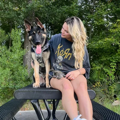 K’s K9 services