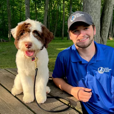 Dog Training Elite