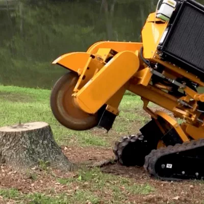 Custom Stump Grinding Service